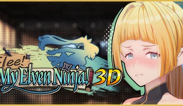 Flee My Elven Ninja 3D (PC)