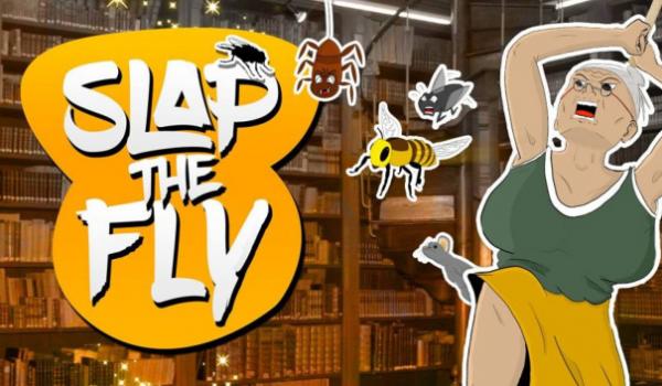 Slap The Fly (PC)
