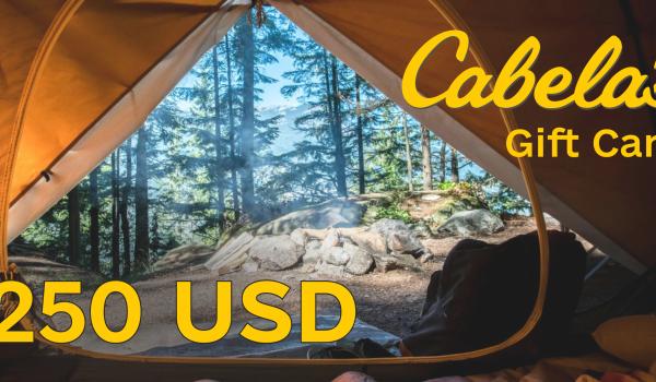 Cabelas Gift Card 250 USD