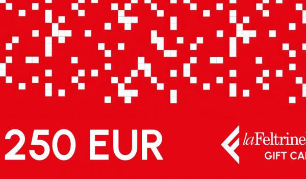 Feltrinelli Gift Card 250 EUR