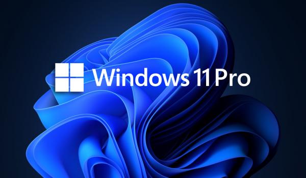 Microsoft Windows 11 Professional