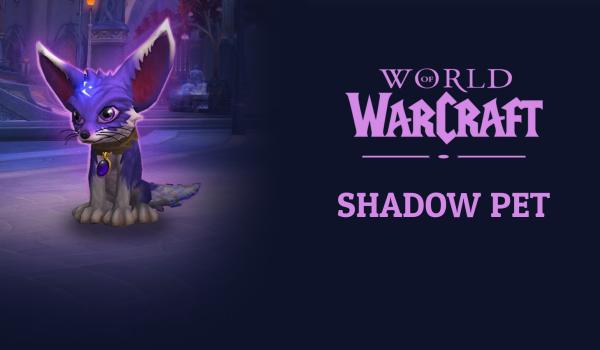 World of Warcraft- Shadow Pet (DLC)