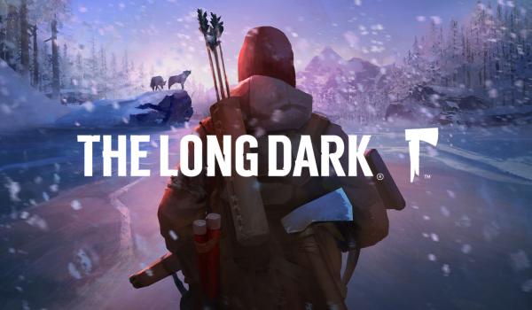 The Long Dark (PC)