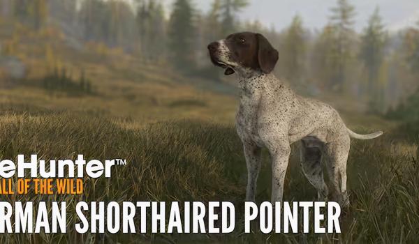 theHunter Call of the Wild German Shorthaired Pointer (PC)