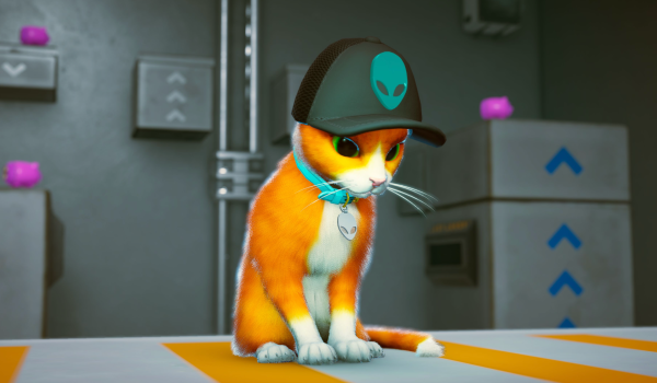 Schrodingers Cat Burglar Alienware Cosmetics Pack (PC)