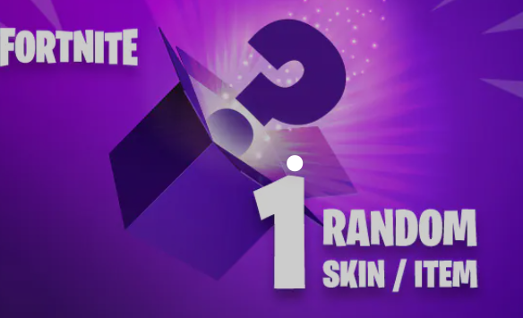 Random FORTNITE SKIN ITEM (PC)