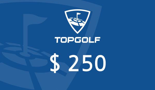 Topgolf Gift Card 250 USD
