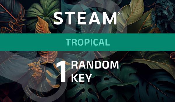 Random Tropical 1 Key (PC)