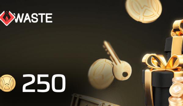 Skinwaste Gift Card 250 Coins