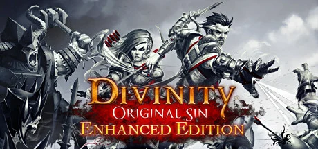 DIVINITY ORIGINAL SIN ENHANCED EDITION (Xbox One)