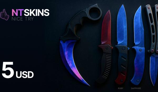 NTSkins Gift Card 5 USD