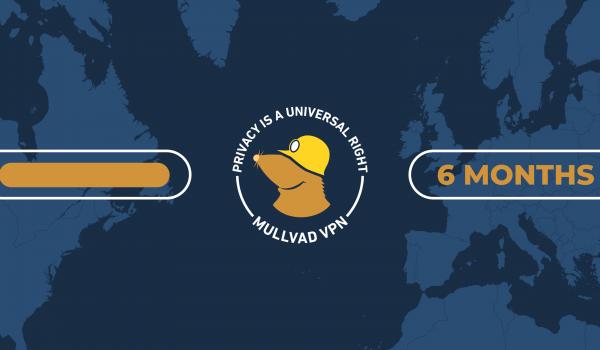 Mullvad VPN 6 Months