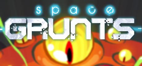 Space Grunts (PC)