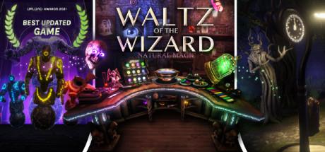 Waltz of the Wizard (PC)