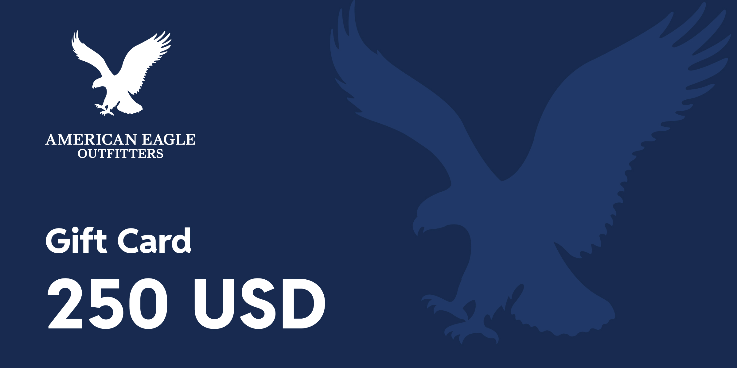 American Eagle Outfitters Gift Card 250 USD