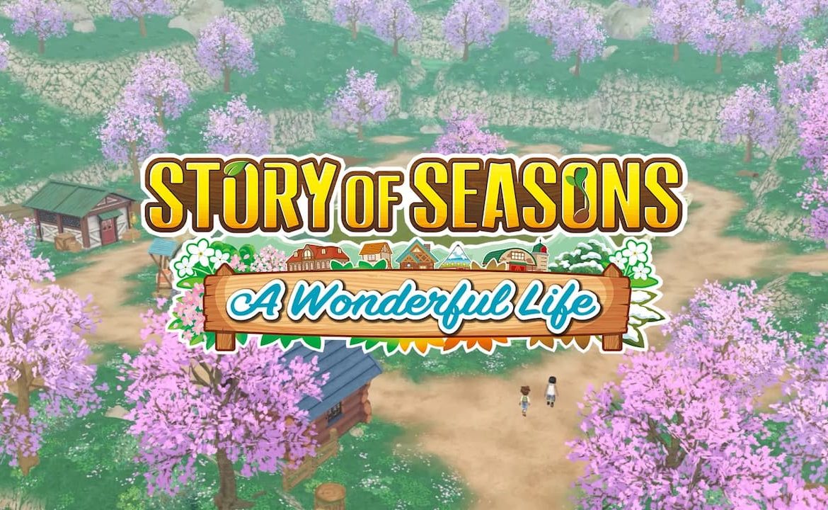 STORY OF SEASONS A Wonderful Life (PC)