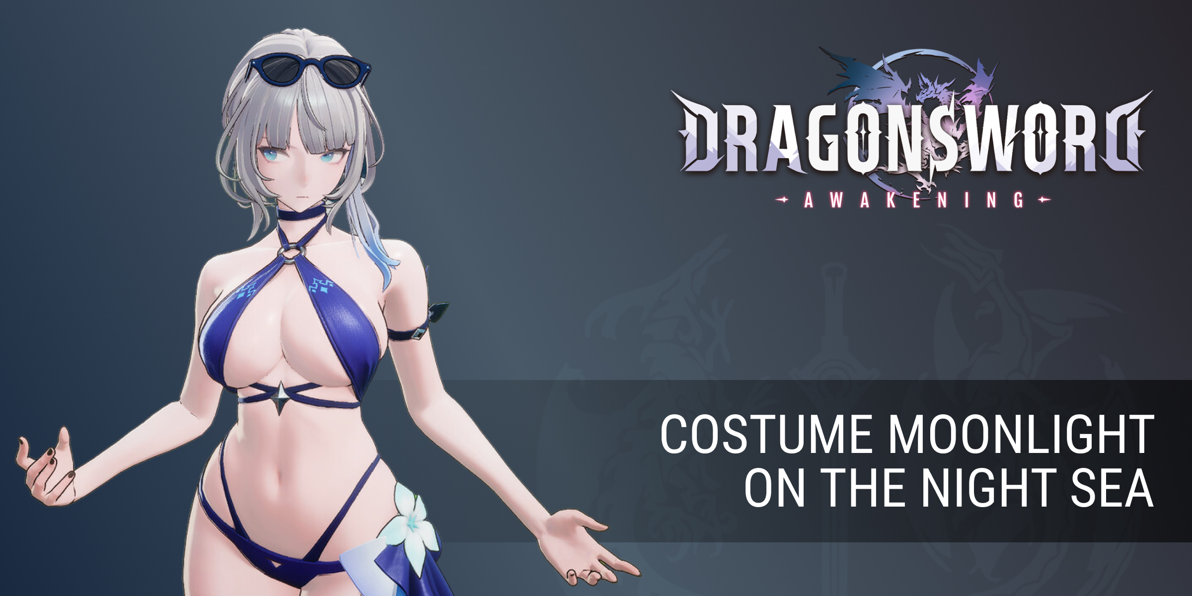 DragonSword Awakening Costume Moonlight on the Night Sea (PC)