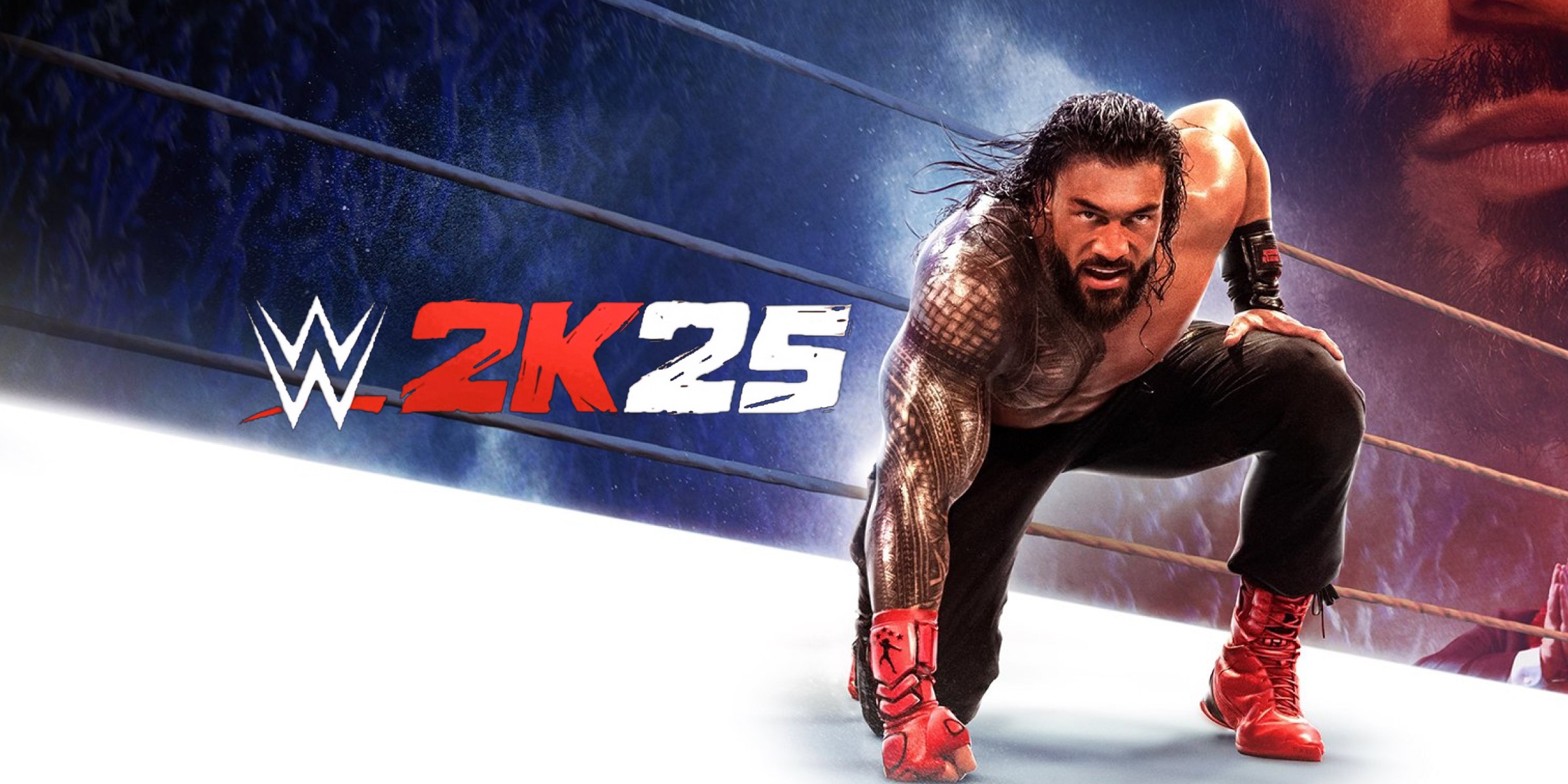 WWE 2K25