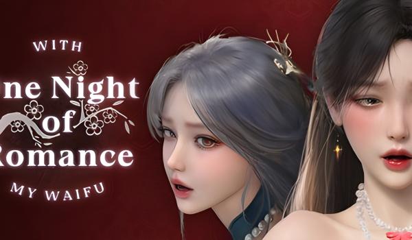 One Night of Romance with my waifu (PC)