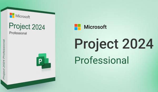 Microsoft Project 2024 Professional