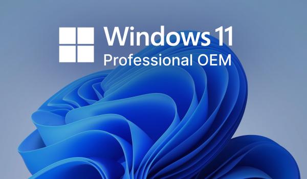 Microsoft Windows 11 Pro OEM