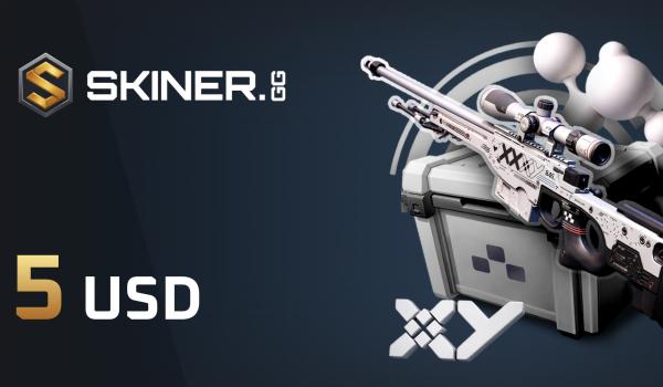 Skiner Gift Card 5 USD