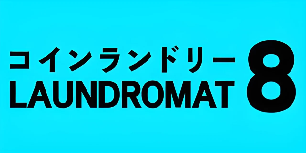 Laundromat 8 (PC)