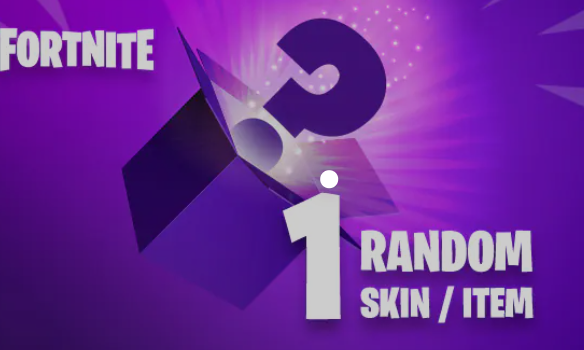 Random FORTNITE SKIN ITEM (PC)