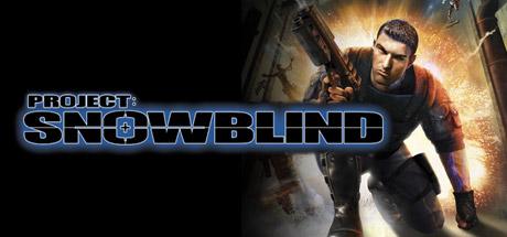 Project: Snowblind (PC)