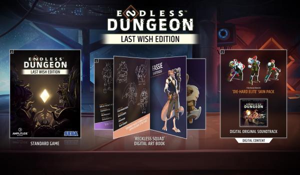 ENDLESS Dungeon Last Wish Edition (PC)