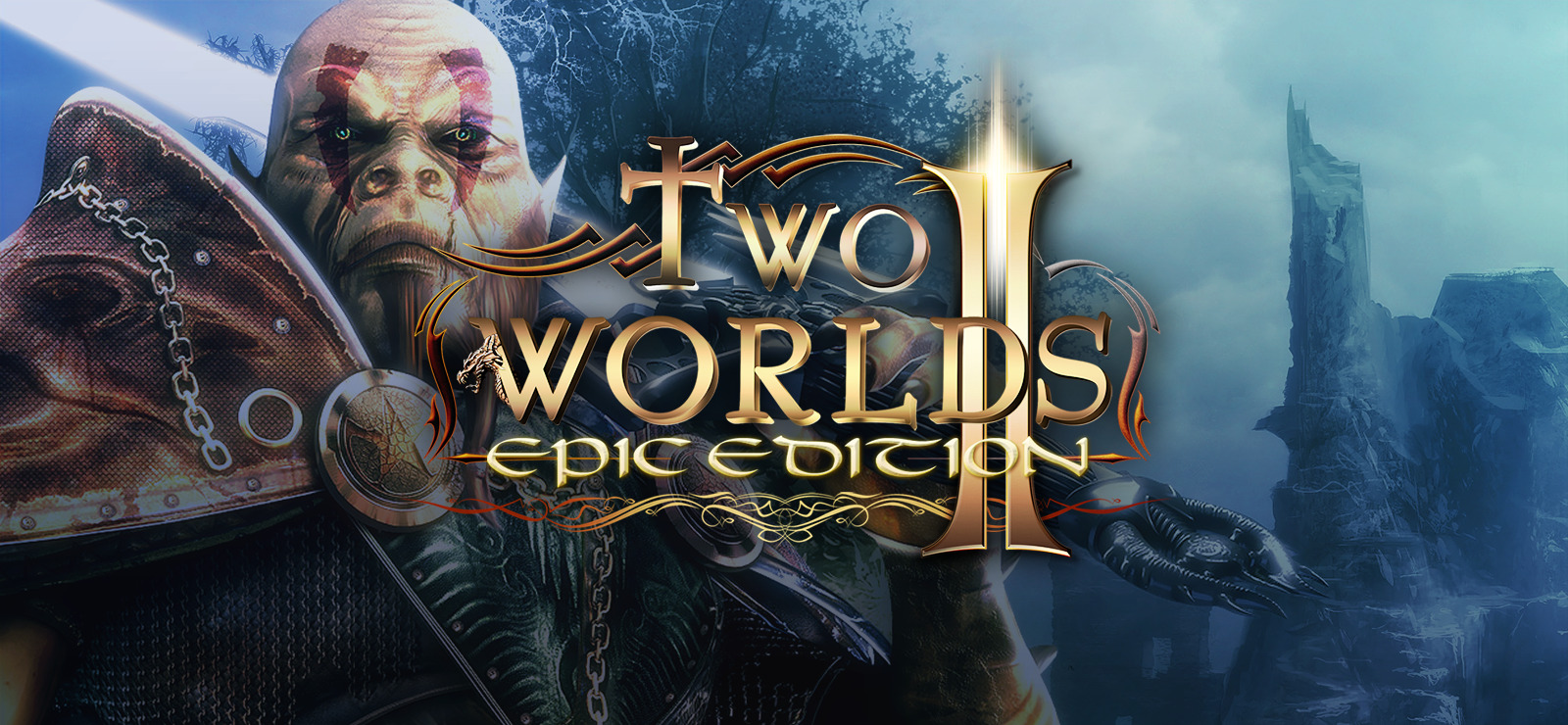 Two Worlds 2 (PC)
