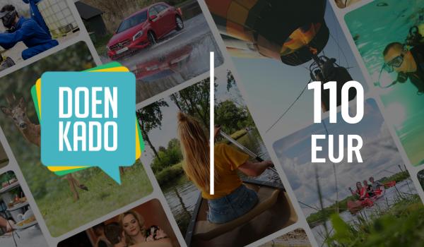 Doenkado Gift Card 110 EUR