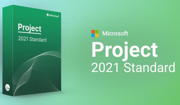 Microsoft Project 2021 Standard