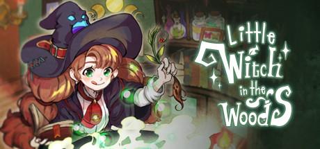 Little Witch in the Woods (PC)