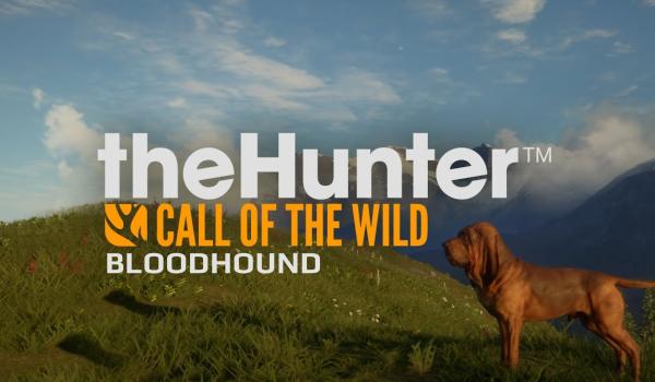 theHunter: Call of the Wild - Bloodhound (DLC)