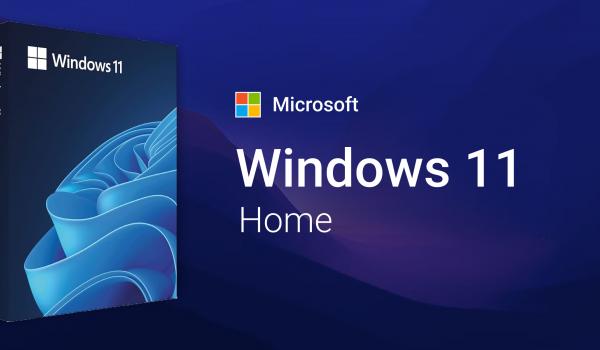 Microsoft Windows 11 Home OEM