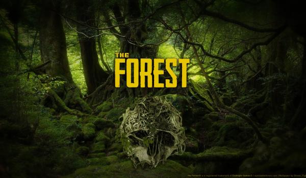 The Forest (PC)