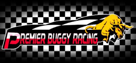 Premier Buggy Racing Tour (PC)