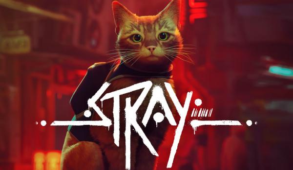 Stray (Xbox Series X)