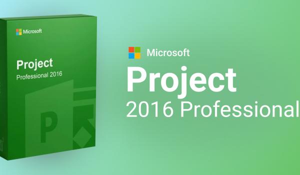 Microsoft Project 2016 Professional