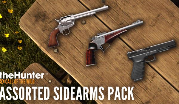 TheHunter Call of the Wild Assorted Sidearms Pack (PC)