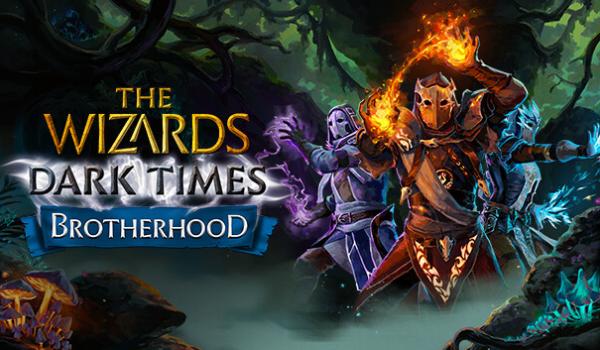 The Wizards Dark Times Brotherhood (PC)