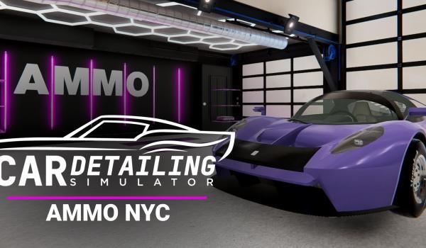 Car Detailing Simulator AMMO NYC DLC (PC)