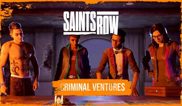 Saints Row Criminal (PC)