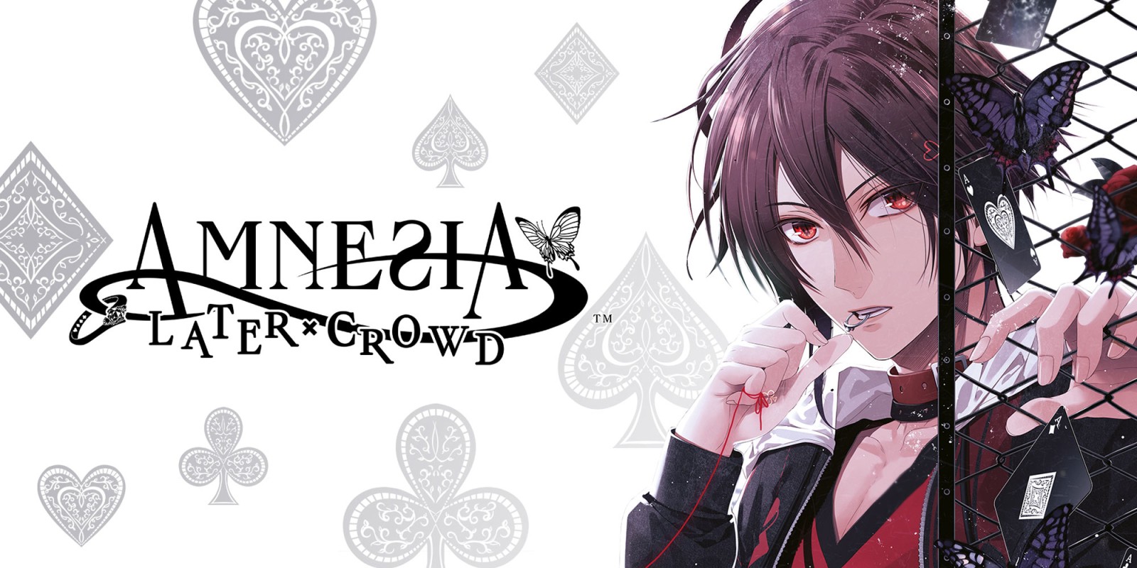 Amnesia Later x Crowd (Switch)