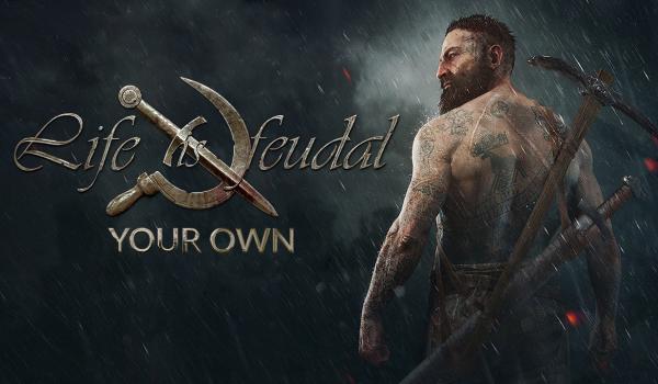 Life is Feudal Your Own (PC)