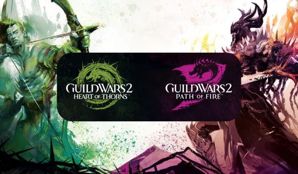 Guild Wars 2 Heart of Thorns and Path of Fire Expansions (PC)