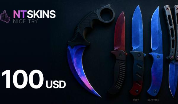 NTSkins Gift Card 100 USD