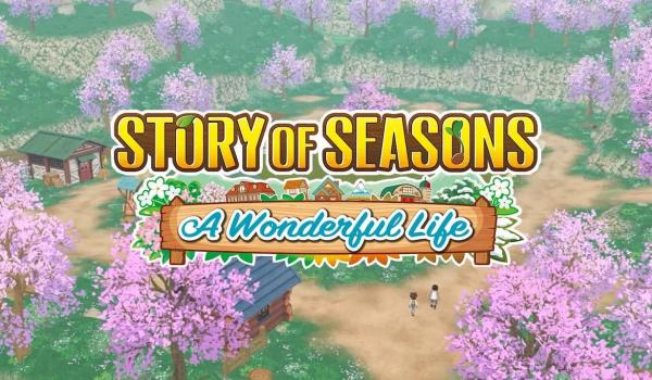 STORY OF SEASONS A Wonderful Life (PC)