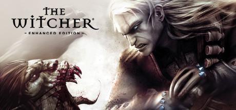 The Witcher Directors Cut (PC)